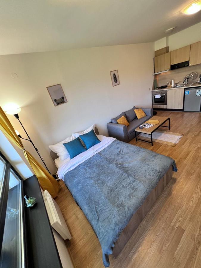 Cosy Studios With Mountain View Near Bansko Razlog Bagian luar foto