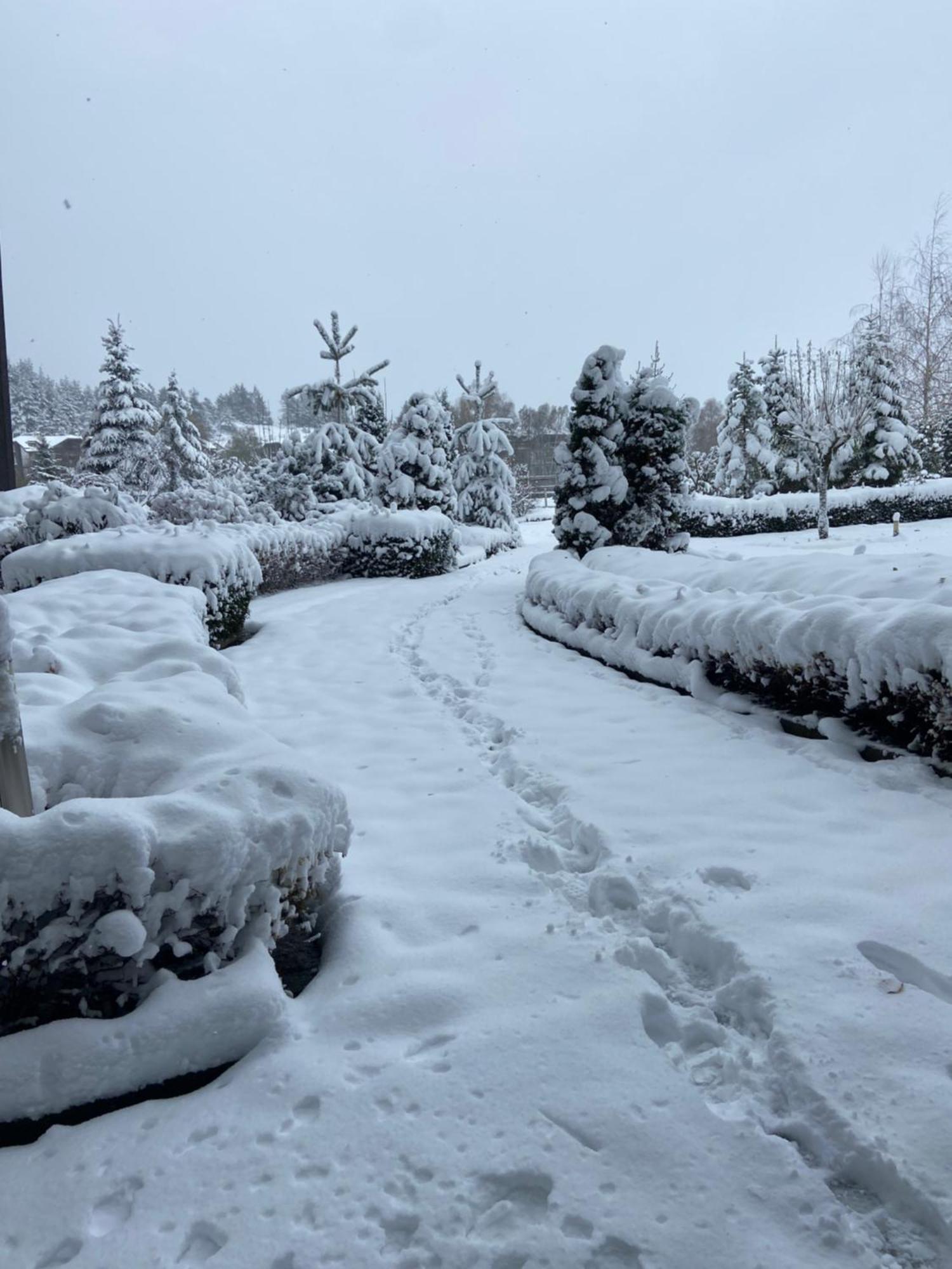 Cosy Studios With Mountain View Near Bansko Razlog Bagian luar foto